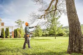 Reliable Burlington, NC Tree Services Solutions